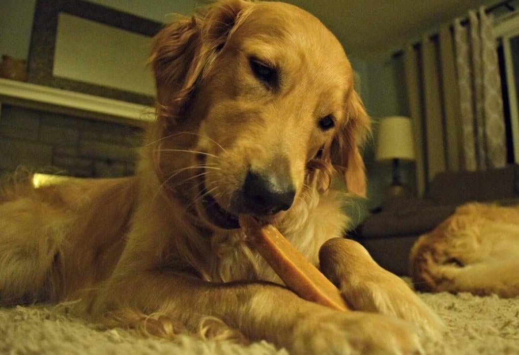 EcoKind Premium Gold Yak Cheese Himalayan Dog Chews, Dog Treats Large Breed, All Natural, High Protein Dog Chew, Cheese, Large - 3 Chews - Image 8