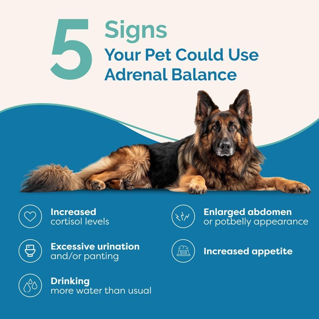 PranaPets Adrenal Balance for Dogs with Cushing’s | Naturally Relieves Symptoms of Cushing's in Dogs | Herbal Formula for Dogs with Cushing’s - Image 3
