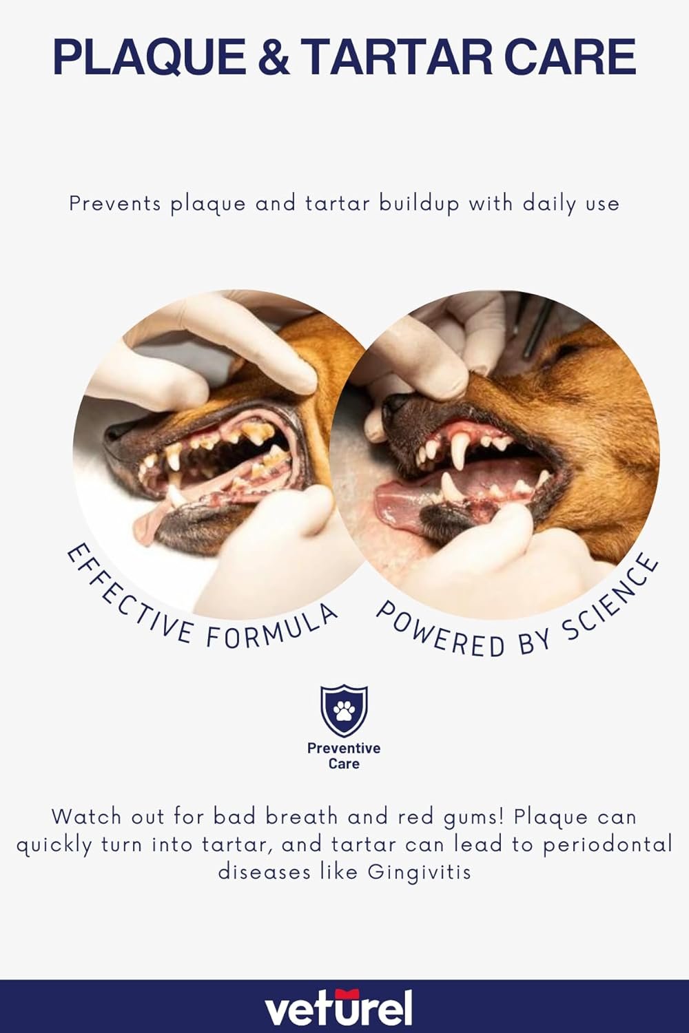 Natural Dog Teeth Cleaning Oral Care Spray - May Help with Bad Breath - May Support Plaque and Dental Care for Cats - May Help Reduce Plaque for Dogs and Cats - 3.4 oz - Image 5