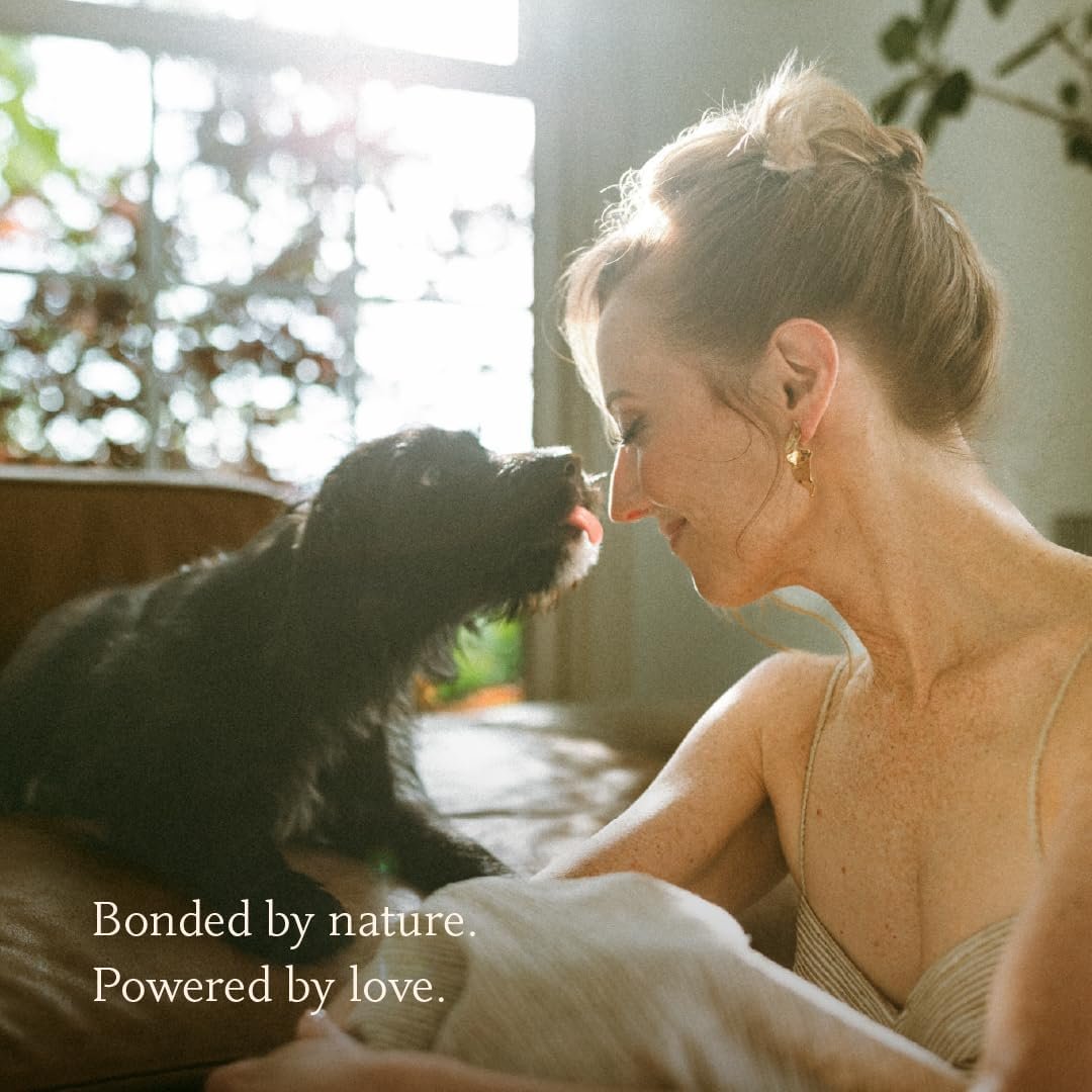 Manuka Dog Ear Cleaner Wipes - Otic Cleanser for Dogs to Stop Ear Itching, and Infections with Aloe and Manuka Honey - 50 Count - Image 7