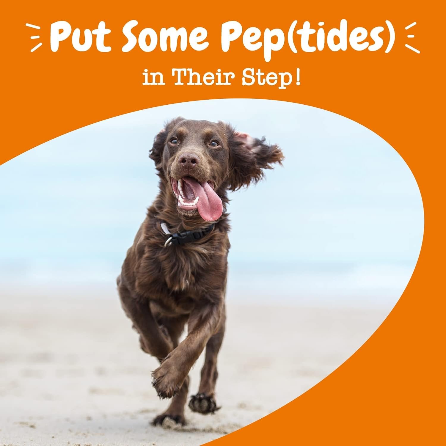 Zesty Paws Multi Collagen Soft Chews for Dogs - for Hip, Joint & Cartilage Support + Skin Health - with Collagen - Plus Eggshell Membrane, Vitamin C & Hyaluronic Acid - 90 Count - Image 8