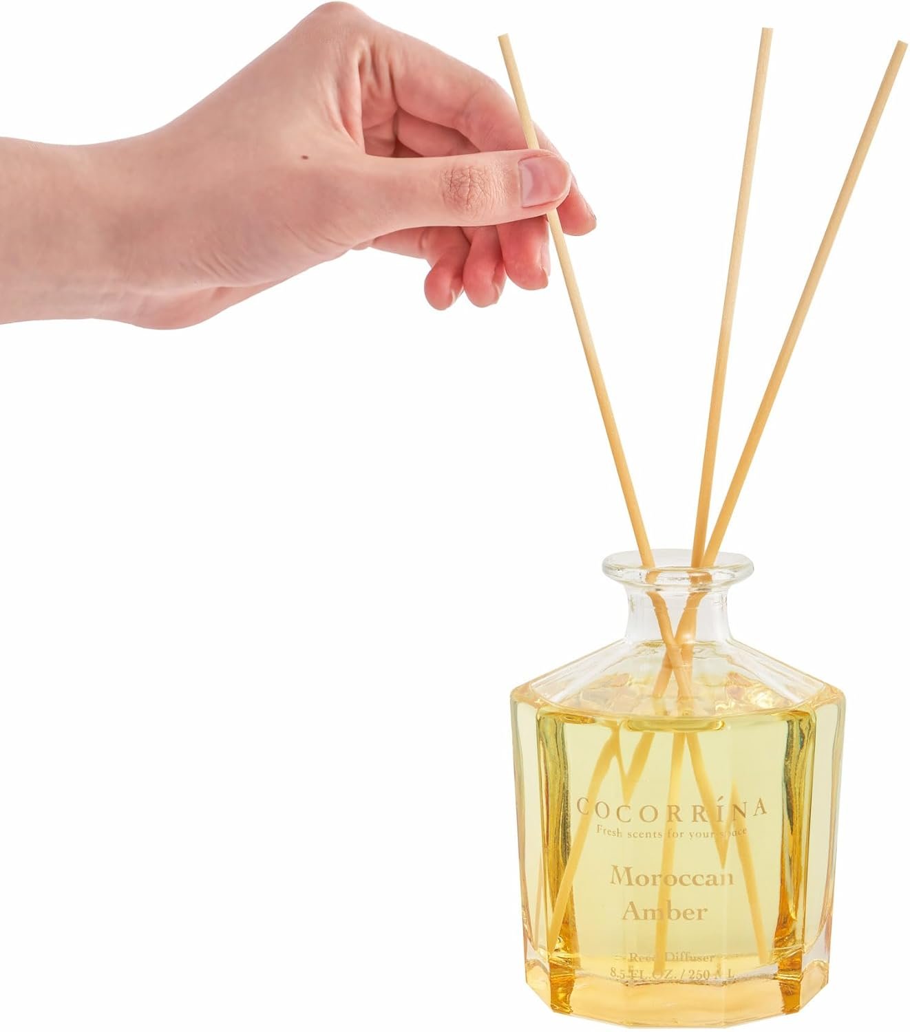 COCORRÍNA Reed Diffuser - Moroccan Amber 8.5oz Flower Reed Diffuser Set with 8 Sticks, Home Fragrance Reed Diffuser for Home Bedroom Office Bathroom Shelf Decor (Master Collection) - Image 5
