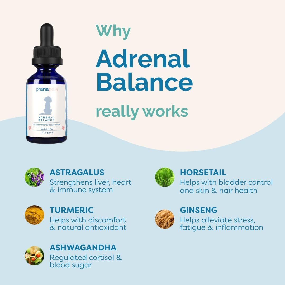 PranaPets Adrenal Balance for Dogs with Cushing’s | Naturally Relieves Symptoms of Cushing's in Dogs | Herbal Formula for Dogs with Cushing’s - Image 5