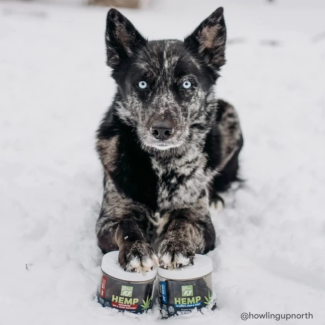 Only Natural Pet Allergy, Skin & Coat Hemp Soft Chews - Allergy Immune Bites for Dogs, Omega 3 Supplement, Hemp Oil - Calming Treats for Itchy Skin Relief, Hot Spot - (120 Count) - Image 7