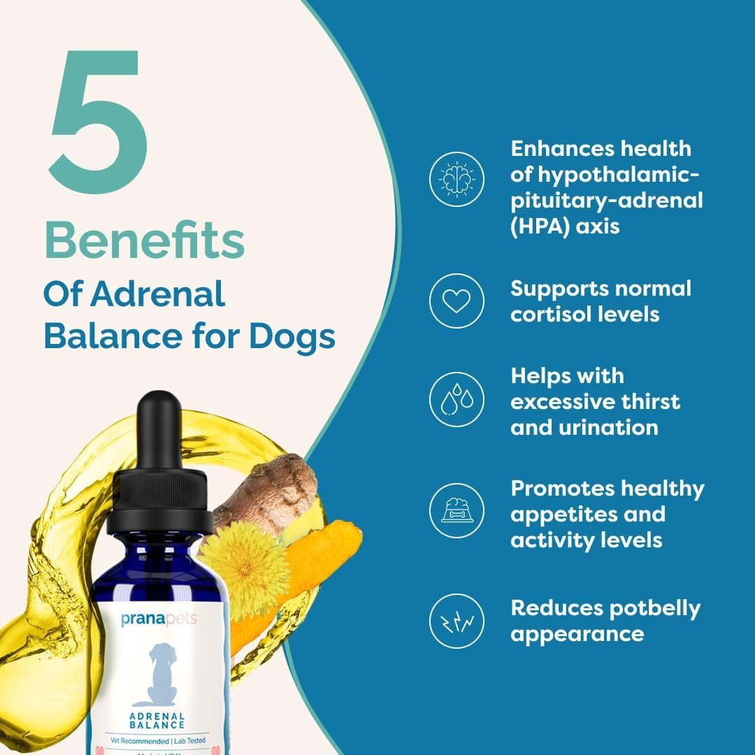 PranaPets Adrenal Balance for Dogs with Cushing’s | Naturally Relieves Symptoms of Cushing's in Dogs | Herbal Formula for Dogs with Cushing’s - Image 4