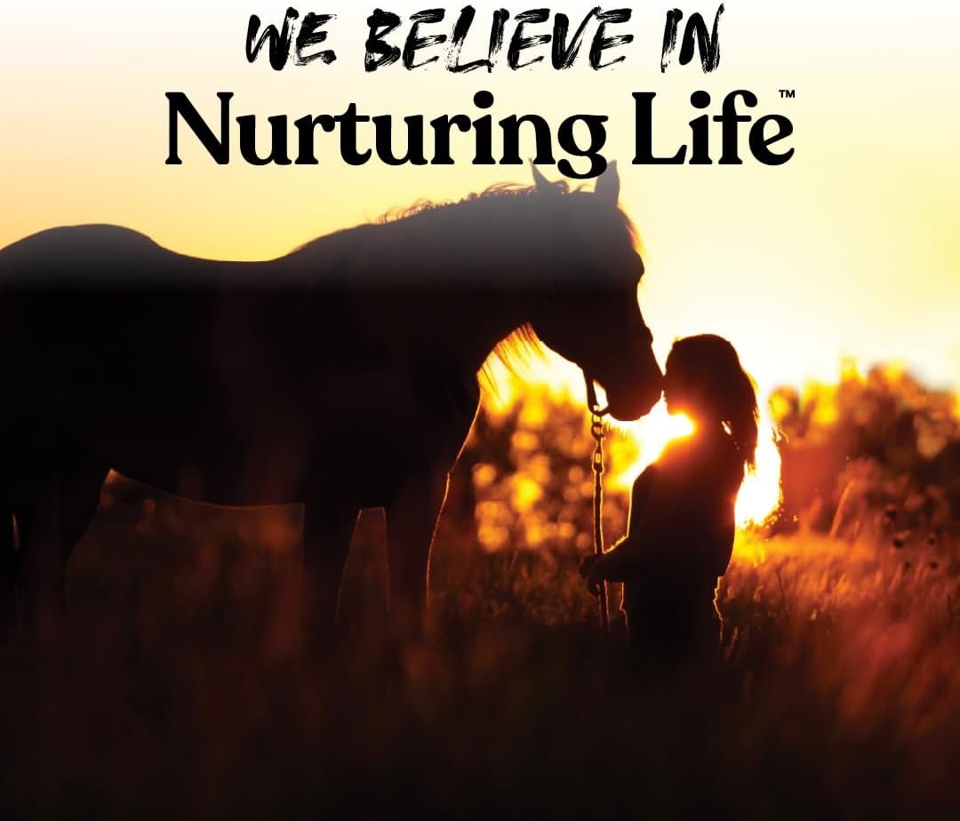 Manna Pro Bite-Size Nuggets for Horses - Pocket Sized Training Horse Treats - Apple Flavored Treats - Packs with Vitamins & Minerals- Great Taste Guaranteed - 4lbs - Image 7