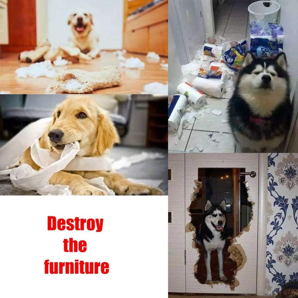 AWOOF Pet Snuffle Mat for Dogs, Interactive Feed Game for Boredom, Encourages Natural Foraging Skills for Cats Dogs Bowl Travel Use, Dog Treat Dispenser Indoor Outdoor Stress Relief - Image 5