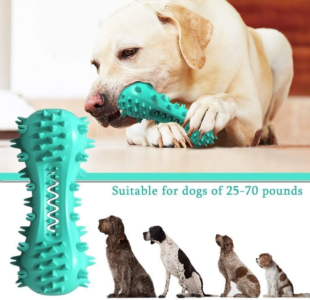 Dog Chew Toys Dog Toothbrush, Squeaky Toys, Interactive Toys - Image 7