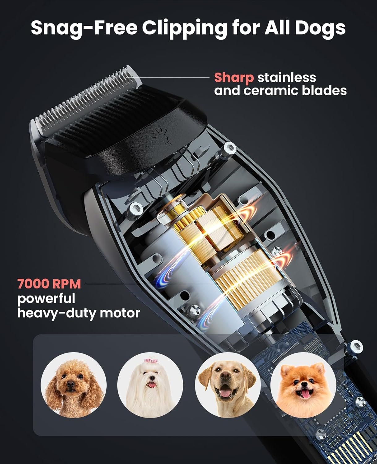 DOG CARE Dog Grooming Kit Clippers Professional Dog Shaver Clippers, Rechargeable Pet Hair Thick Coats Clippers Trimmers Set for Dog Cat with 3 Speeds | Auxiliary Light | Electric Quiet - Image 6