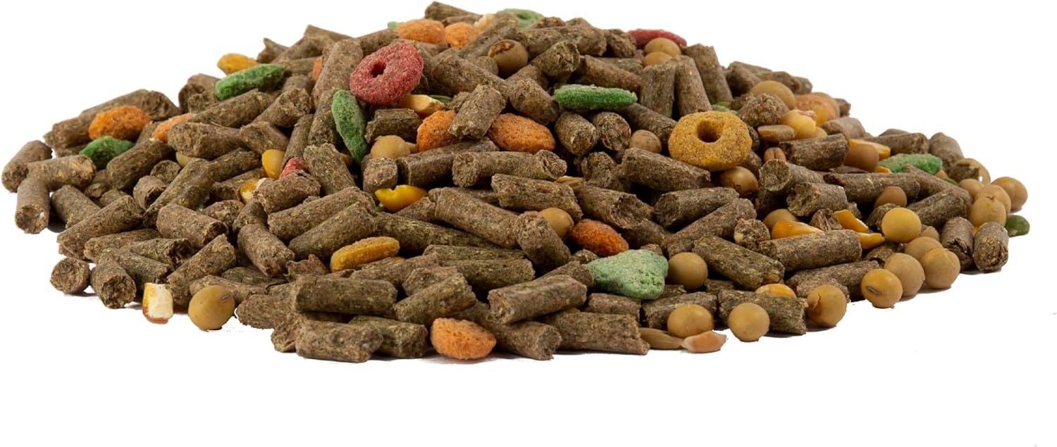 Wild Harvest Advanced Nutrition Guinea Pig, 4 Pounds, Complete And Balanced Diet - Image 3