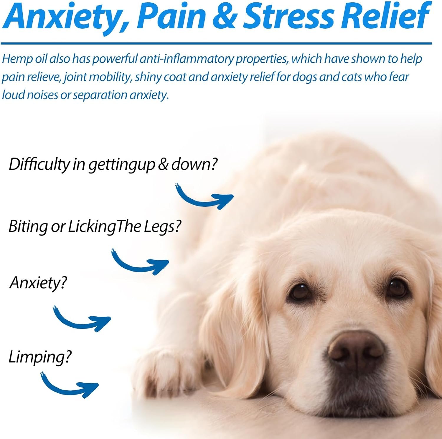 Pet Oil for Dogs and Cats Anxiety Stress Pain Relief Joint Hip Аrthritis Sleep Aid Calming Oil Drop Improves Skin & Coat, Natural Extract Treats Dog Calming Oil 60ML - Image 4