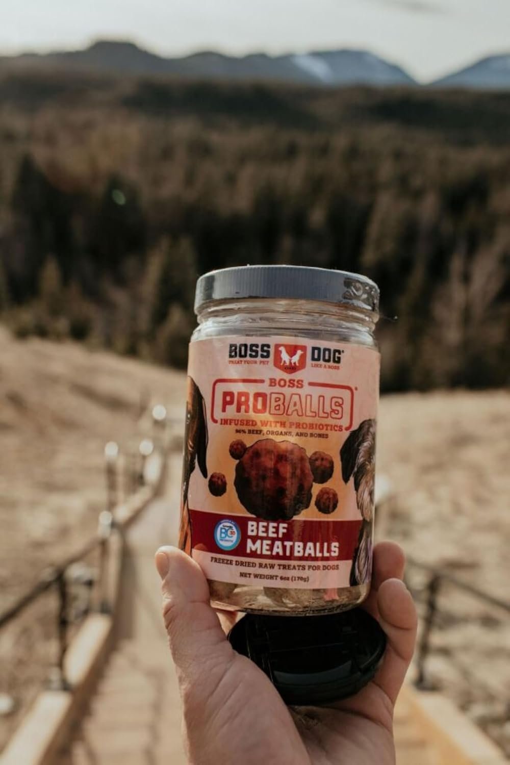 Boss Dog Boss Proballs Meatball Treats for Dogs & Cat, Beef Recipe, 6 oz Jar - Image 5