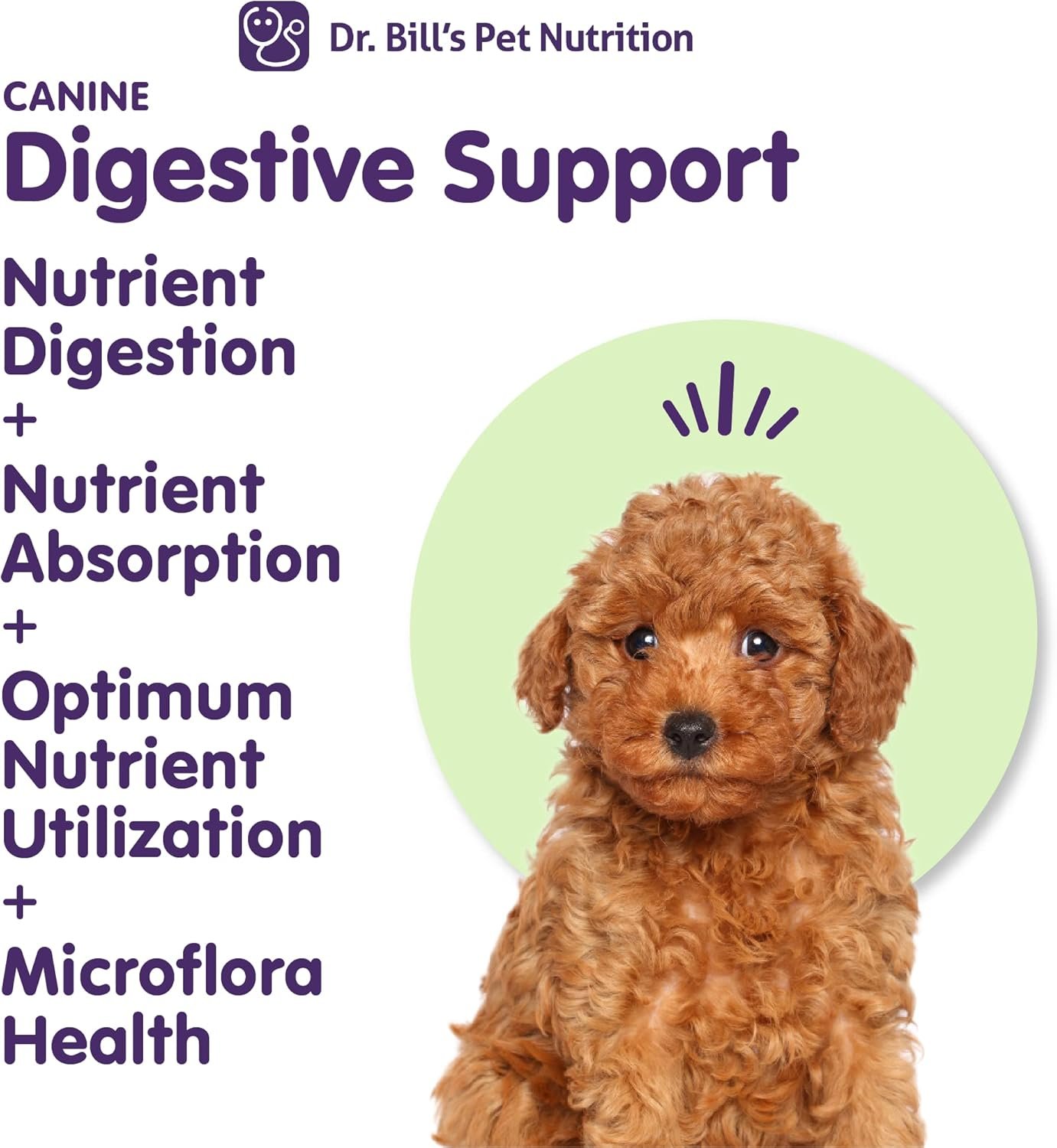 Dr. Bill’s Canine Digestive Support | Probiotics & Prebiotics for Dogs | Gut Health Pet Supplements | Contains Ginger Root, Psyllium Husk, Lemon Balm and Bifidobacterium - Image 4
