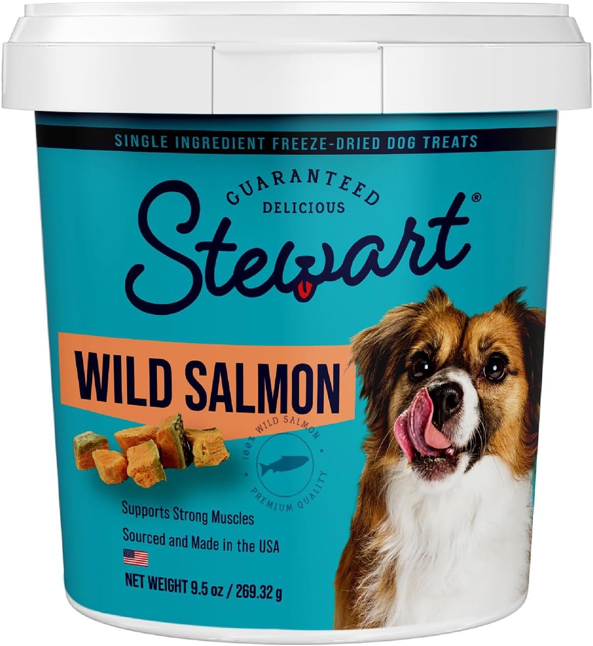 Stewart Single Ingredient Freeze Dried Raw Dog Treats, Wild Salmon, 9.5 Ounce Resealable Tub, Training Treats or Meal Topper Dogs, High Protein, Grain Free, Gluten Free - Image 2