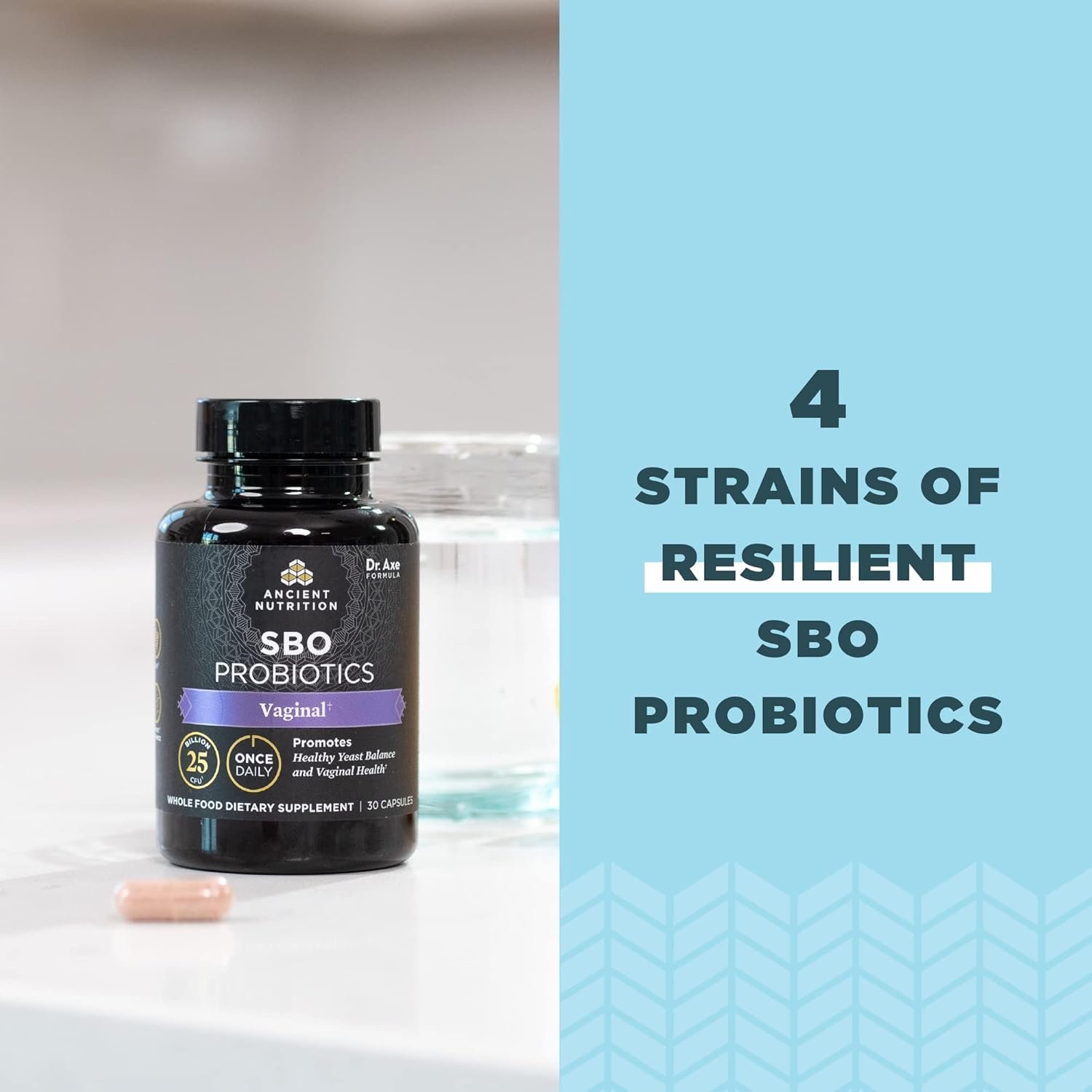 Ancient Nutrition Probiotic for Women, Once Daily Women's Probiotics for Vaginal Health, 30ct, Healthy Yeast Balance for Feminine Care, Made with Cranberry and Apple Cider Vinegar, 25 Billion CFUs - Image 6