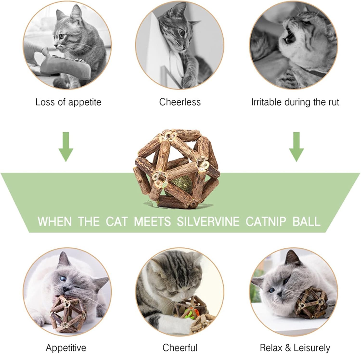 Catnip Toys-2Pcs Natural Silvervine Stick Catnip Ball&Bell Ball-Cat Toys for Indoor Cats- Cleaning Teeth Molar Tools Matatabi Cat Chew Toy-Kitten Toys All Breeds - Image 4