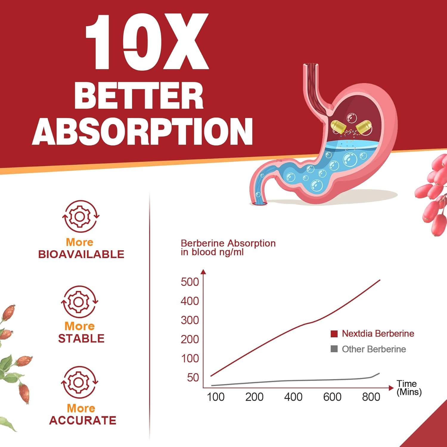 Berberine Supplement Organic 1500mg with Ceylon Cinnamon Bitter Melon, Liposomal Berberine HCL Complex Supplements with Banana Leaf, Supports Immune & Digestion - Vegan Berberine Capsules 120Cts - Image 5