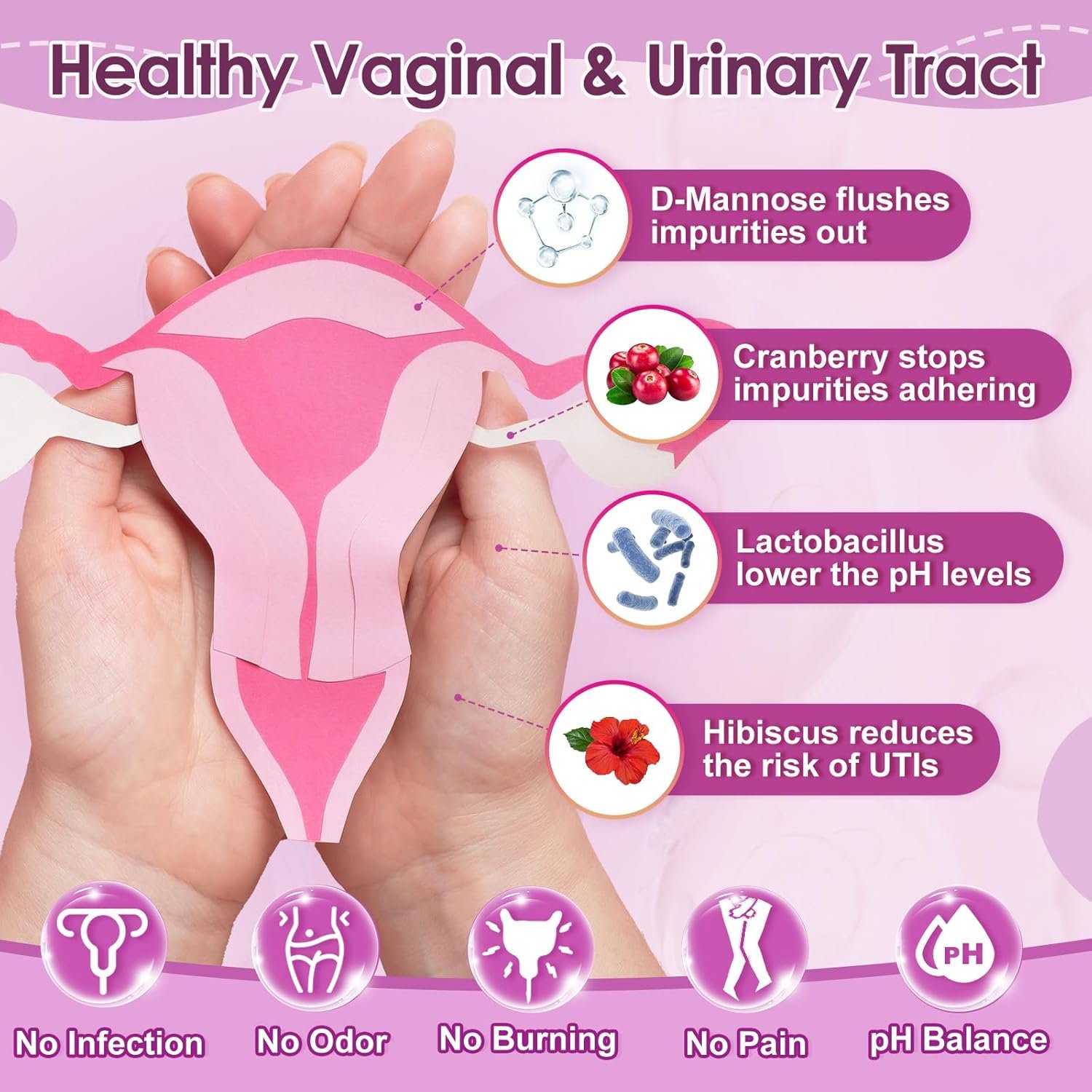 Probiotics for Women Digestive Health, 100 Billion CFUs Probiotic with Digestive Enzymes & Prebiotics, Vaginal Probiotics with Cranberry for Urinary Tract Health, pH Balance, 180 Veggie Capsules - Image 3