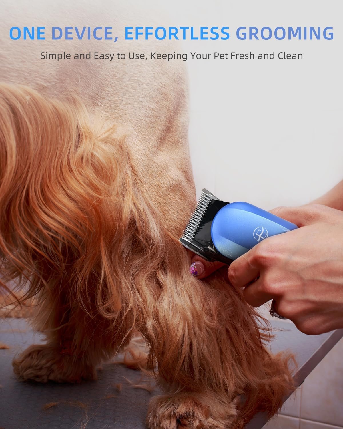 E-Hunter Professional Dog Grooming Clippers Kit, 24V High Power for Thick Coats, Quiet Dog Clippers with 10 Metal Guard Combs & Brush, Ideal Dog Hair Remover for Cats and Pets - Image 9