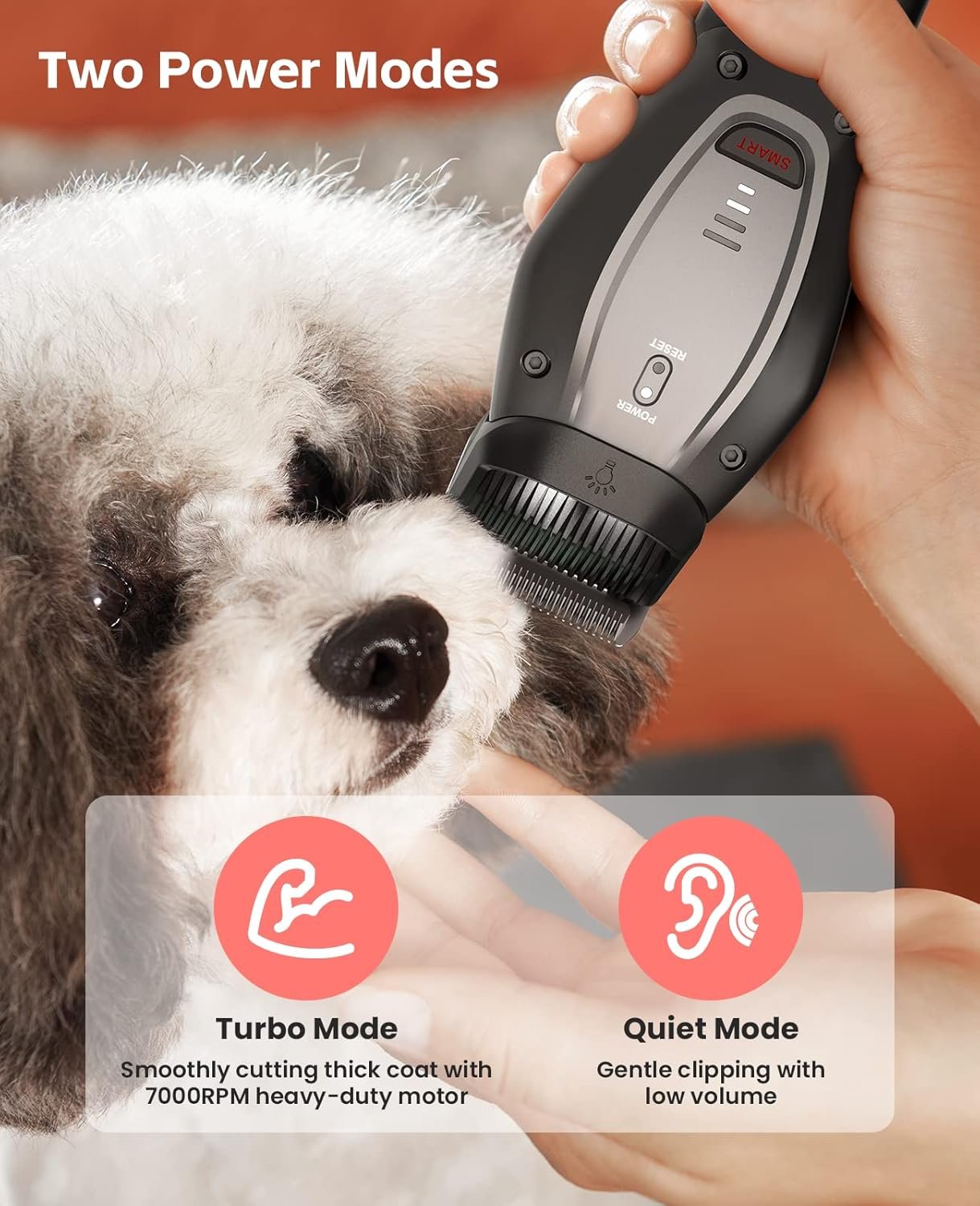 DOG CARE Dog Grooming Kit Clippers Professional Dog Shaver Clippers, Rechargeable Pet Hair Thick Coats Clippers Trimmers Set for Dog Cat with 3 Speeds | Auxiliary Light | Electric Quiet - Image 4