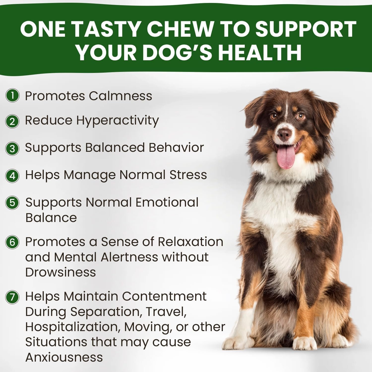 Calming Chews for Dogs | Hemp Anxiety Relief Treats | Melatonin for Dogs | Calm Relaxing Supplements for Separation Stress, Sleep, Nail Trimming, Storm, Barking, Canine Hyper Activity - Image 4