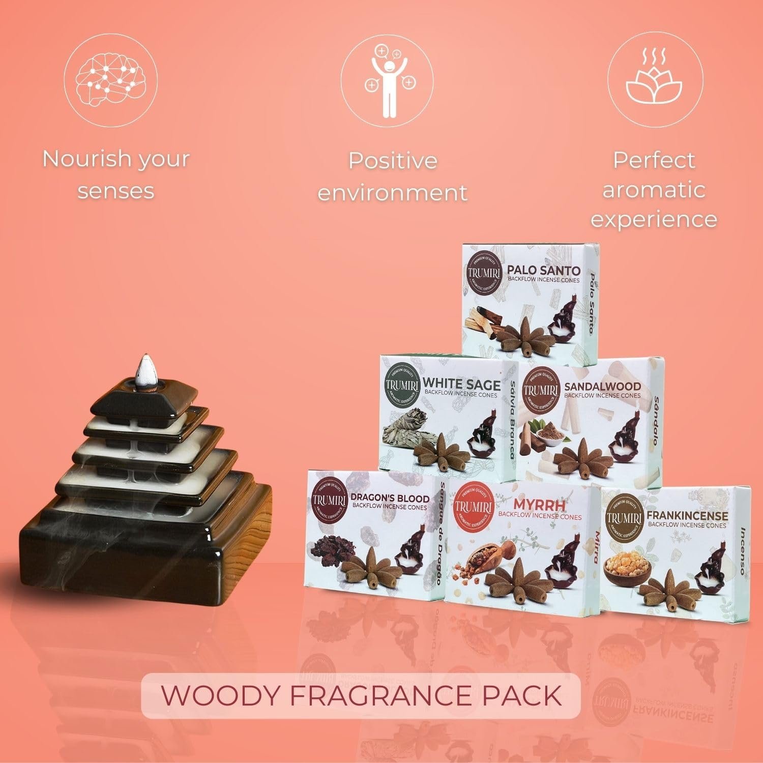 Woody - Backflow Incense Cones for Waterfall - Scented Inscents-Cones - Sandalwood, Dragons Blood, Palo Santo, White Sage - Insiensos Aromaticos - 6x10=60 Large Variety Pack - Back Flow Down Reverse - Image 6