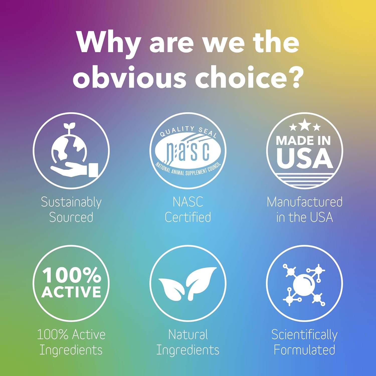 InClover Daily Multi Cat & Dog Vitamin - Canine & Feline Vitality Powder - Immunity Boost with Organic Blueberry, Seaweed, Turkey Tail Mushroom & Postbiotic Fibers - Critical Immune Defense Supplement - Image 5