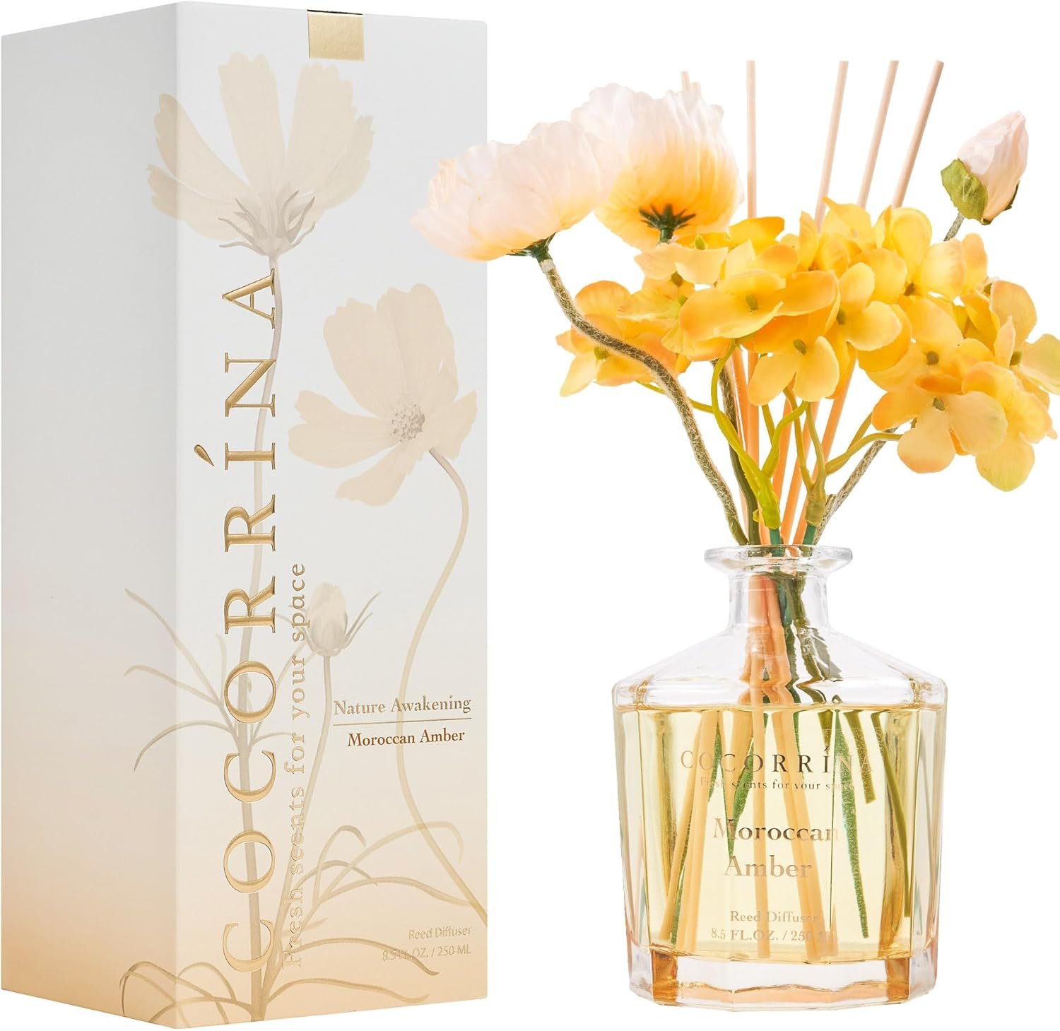 COCORRÍNA Reed Diffuser - Moroccan Amber 8.5oz Flower Reed Diffuser Set with 8 Sticks, Home Fragrance Reed Diffuser for Home Bedroom Office Bathroom Shelf Decor (Master Collection) - Image 3