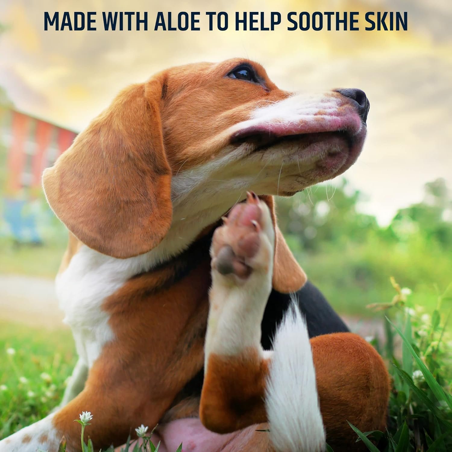 Pet MD Topical Wipes for Cleansing - with Aloe for Cats and Dogs - 50 Count - Image 4