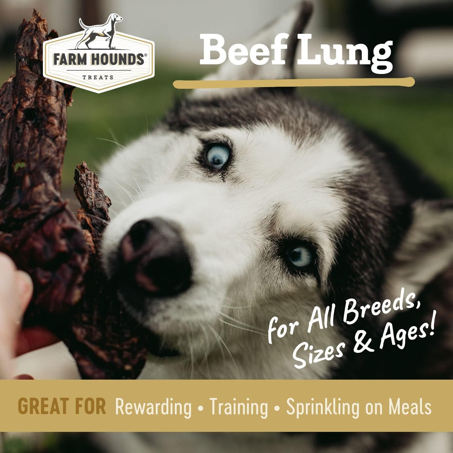 Farm Hounds - Beef Lung - Premium Natural Beef Lung Jerky for Dogs - Made from 100% Humanely Raised Cattle - Organ Treat - Great for Training & Treats - No Added Fillers - Made in USA - 2 oz - 1 Pack - Image 3