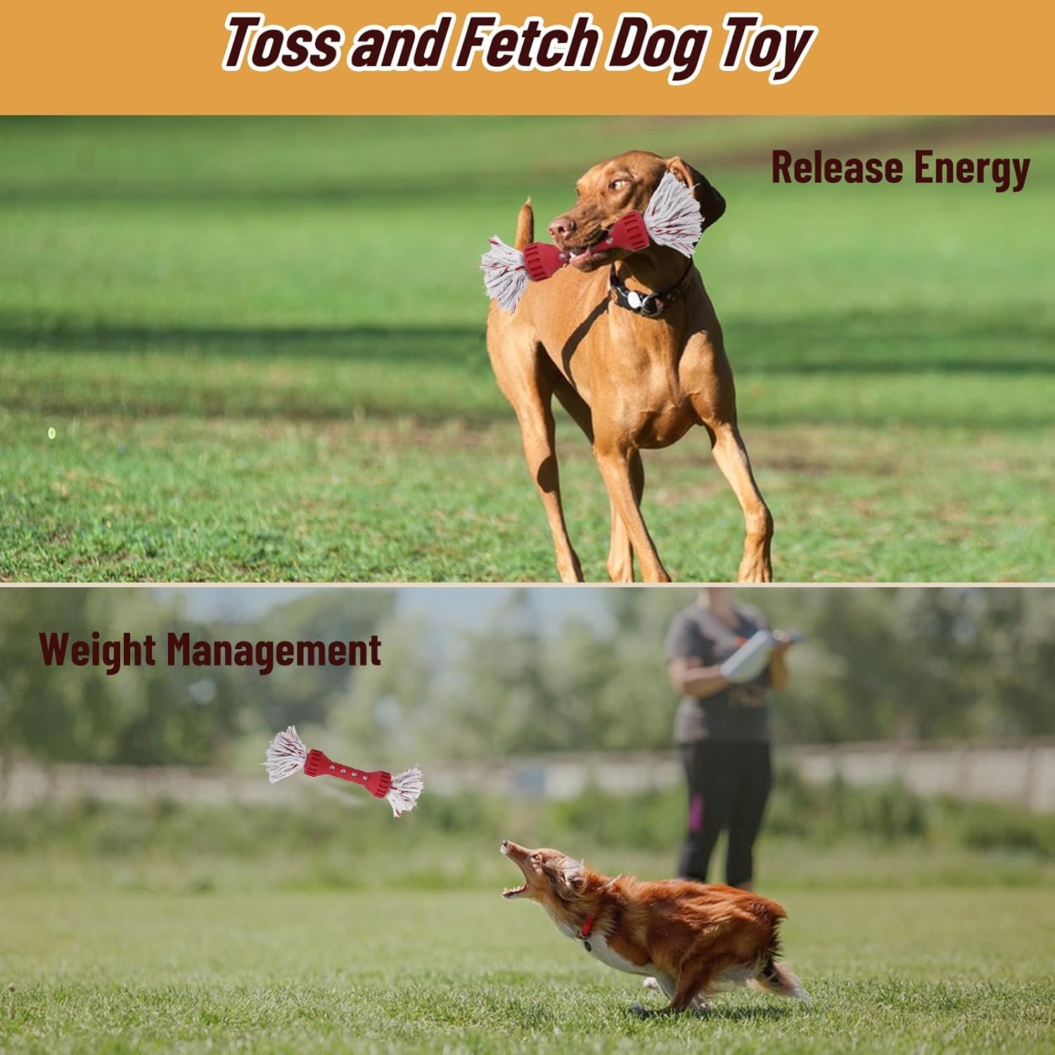 Dog Rope Toys for Aggressive Chewers, Tug of War Toys for Medium/Large Dogs, Outdoor Dog Fetch Toy, Dog Teething Toys, Keep Your Powerful Chewers Busy, Dog Boredom Buster Toys - Image 6