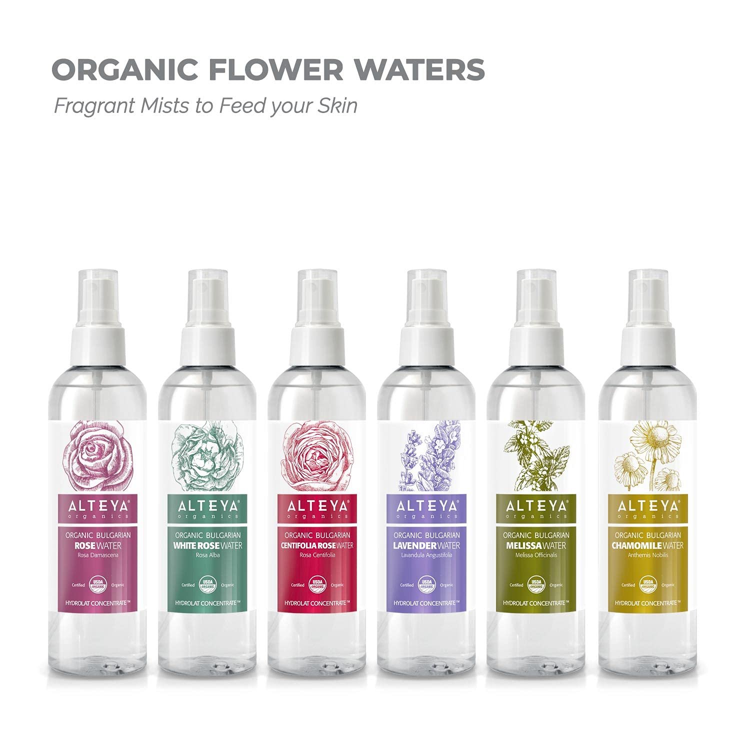 Alteya Organics Rose Water USDA Certified Organic Facial Toner, 8.5 Fl Oz/250mL Pure Bulgarian Rosa Damascena Flower Water, Award-Winning Moisturizer BPA-Free Spray Bottle - Image 7