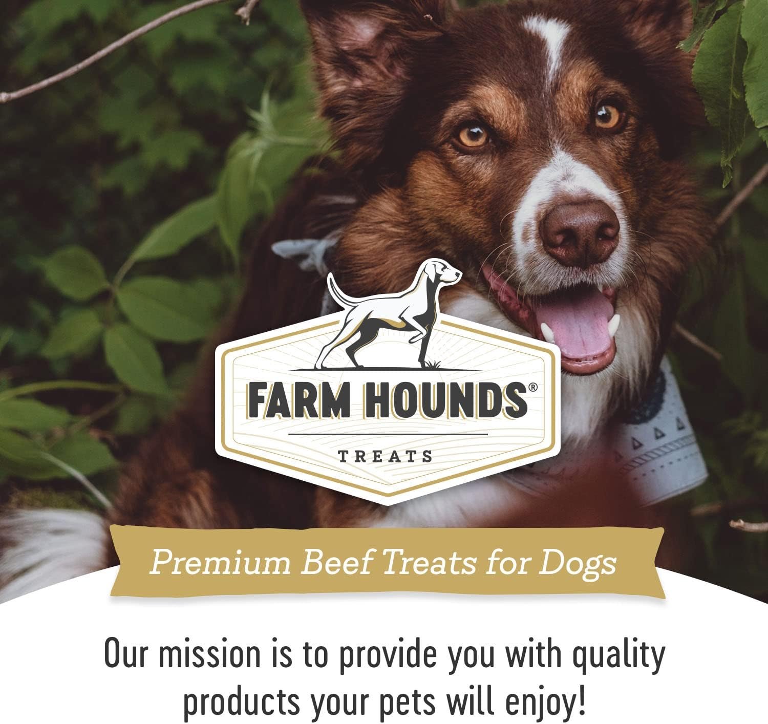Farm Hounds - Beef Spleen - Premium Natural Beef Spleen Jerky For Dogs - Made From 100% Humanely Raised Cattle - Organ Treat - Great For Training & Treats - No Added Fillers - Made in USA -4oz -1 Pack - Image 8