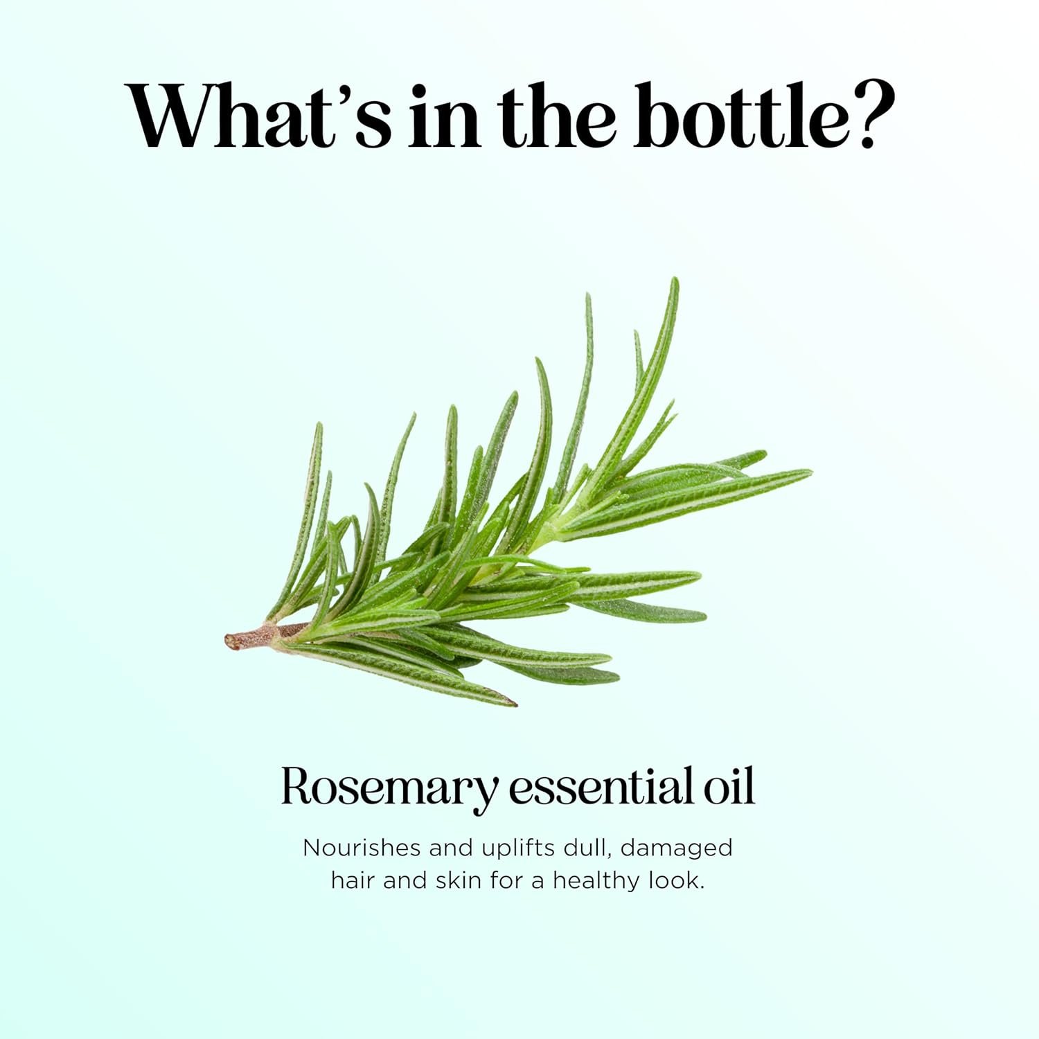 Pure Rosemary Essential Oil with Dropper - Undiluted Rosemary Oil for Hair Skin and Nails and Refreshing Aromatherapy Oil for Diffusers - Rosemary Essential Oil for Cleansing Dry Scalp Care 4oz - Image 5