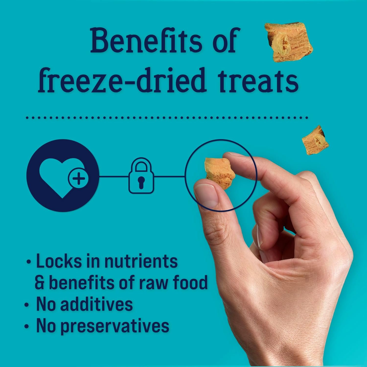 Stewart Single Ingredient Freeze Dried Raw Dog Treats, Wild Salmon, 9.5 Ounce Resealable Tub, Training Treats or Meal Topper Dogs, High Protein, Grain Free, Gluten Free - Image 5