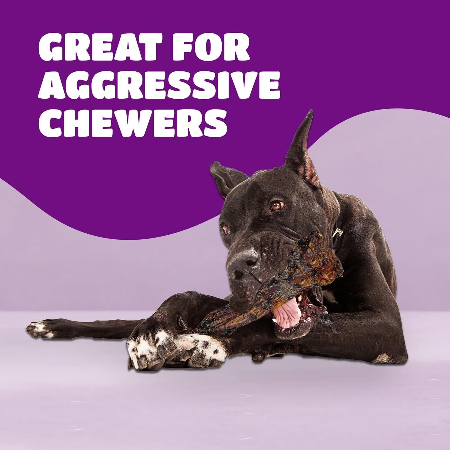 Liver Coated Dog Bones for Aggressive Chewers, Natural Dog Bones for Large Dogs, Beef Shin Large Dog Bones for Medium Dogs, Bones for Dogs Long Lasting, Dog Chew Bones - 1 Count - Image 3