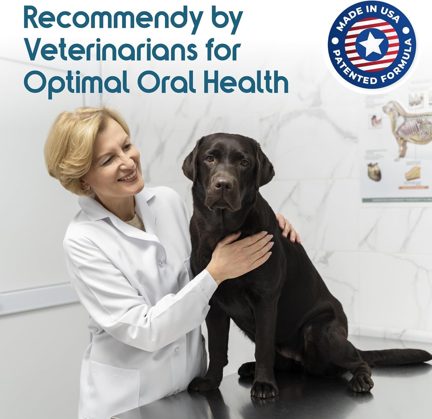 Recommended by Veterinarians Because it Simply Works Better. ioVet Oral Pet Water additive effortlessly Helps Your pet to The Clean, Healthy Mouth & Dazzling Fresh Breath You've Always Hoped for. - Image 5