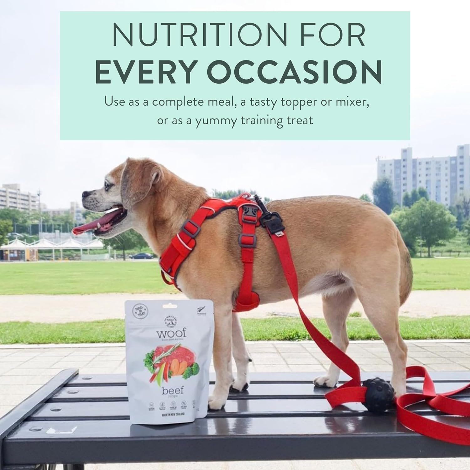 Woof Freeze Dried Dog Food - Beef Recipe, High Protein, Dog Food Topper & Dog Treats, All Life Stages, 1.76 oz - Image 4