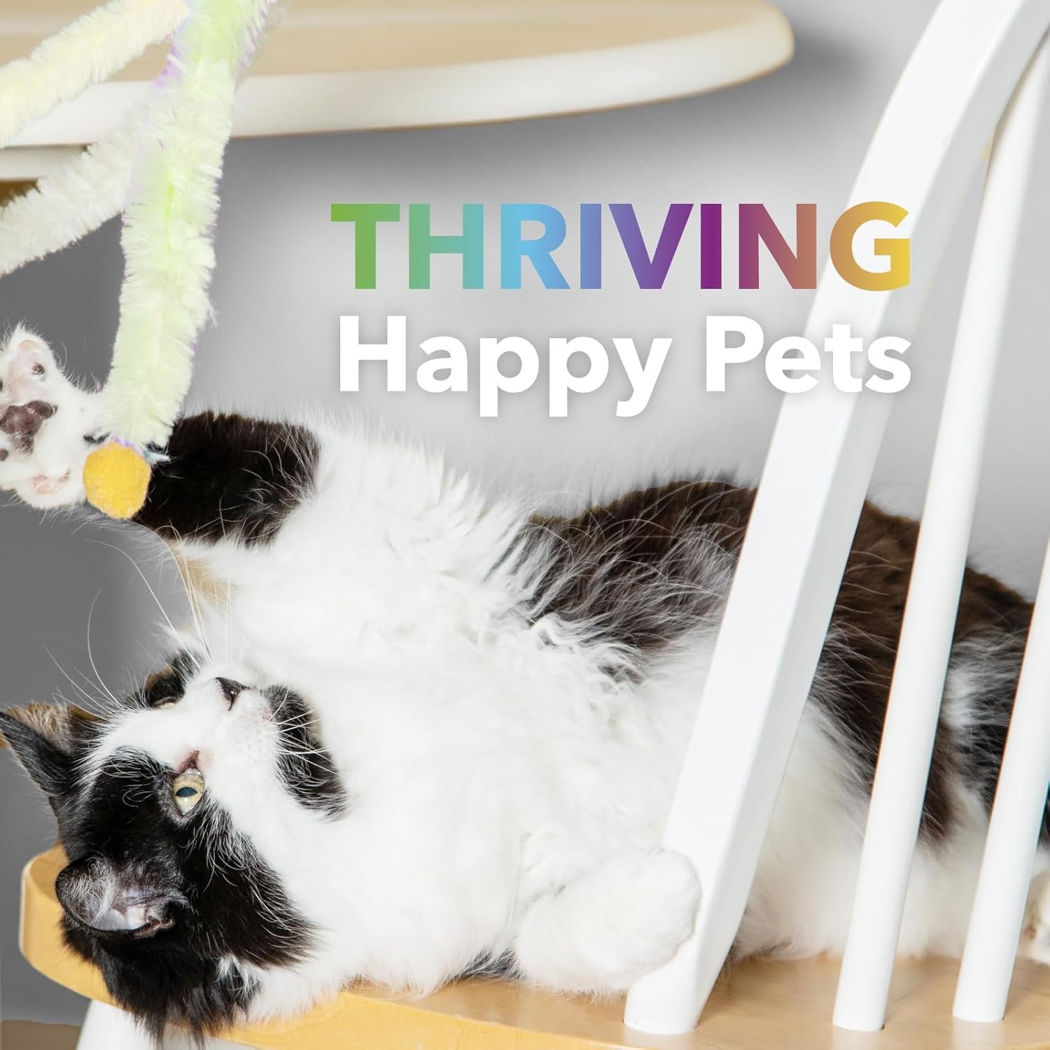 InClover Daily Multi Cat & Dog Vitamin - Canine & Feline Vitality Powder - Immunity Boost with Organic Blueberry, Seaweed, Turkey Tail Mushroom & Postbiotic Fibers - Critical Immune Defense Supplement - Image 7