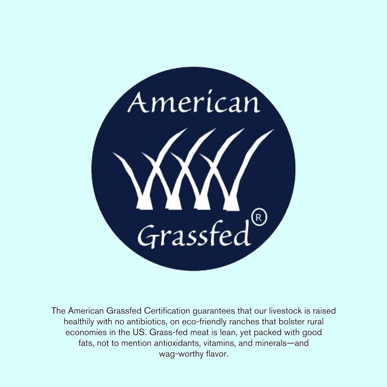 WEST PAW Freeze-Dried Raw All Natural Dog and Puppy Training Treats, Single Ingredient, Humanely Raised and Sustainably Sourced, Made in USA, Beef Heart, 2 Pack - Image 6