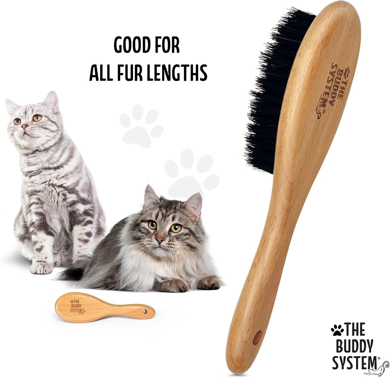 The Buddy System Cat Brush with Boar Bristle and Wooden Handle, Professional Grade Daily Grooming Hairbrush, Reduce Shedding, Soft Hair and Healthy Shine (1 Pack) - Image 4