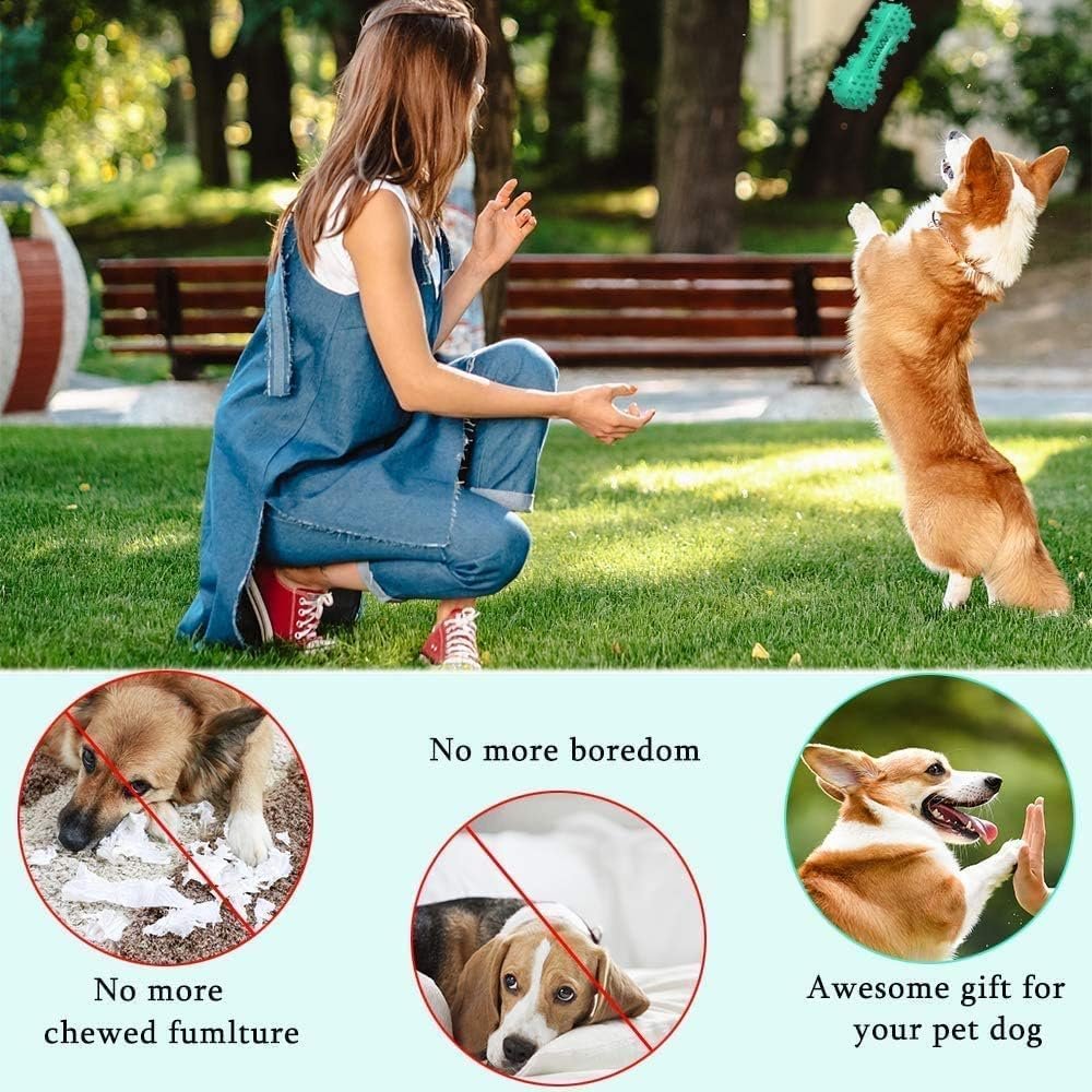 Dog Chew Toys Dog Toothbrush, Squeaky Toys, Interactive Toys - Image 5