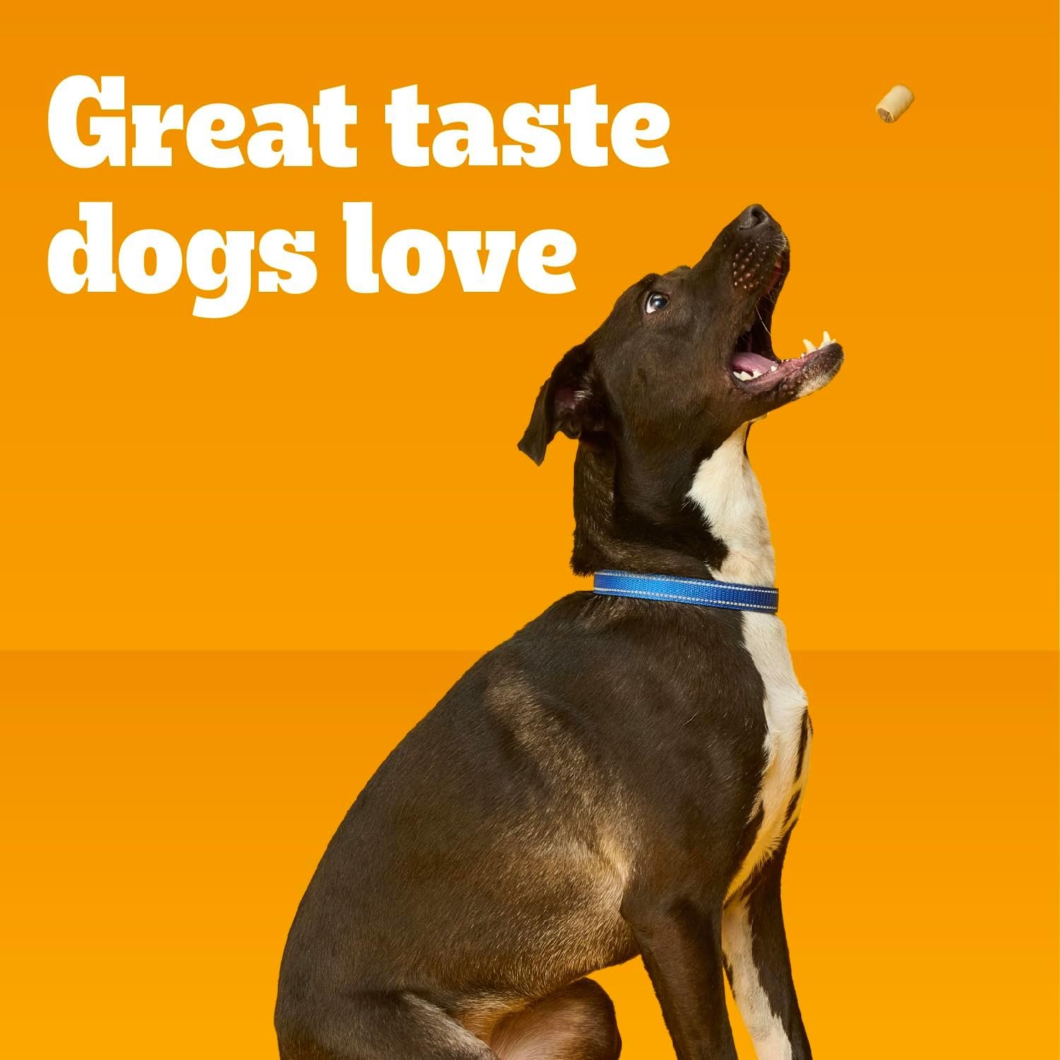 PEDIGREE MARROBONE Dog Treats Real Beef Flavor Crunchy Dog Biscuit, 6 lb. Pack - Image 7