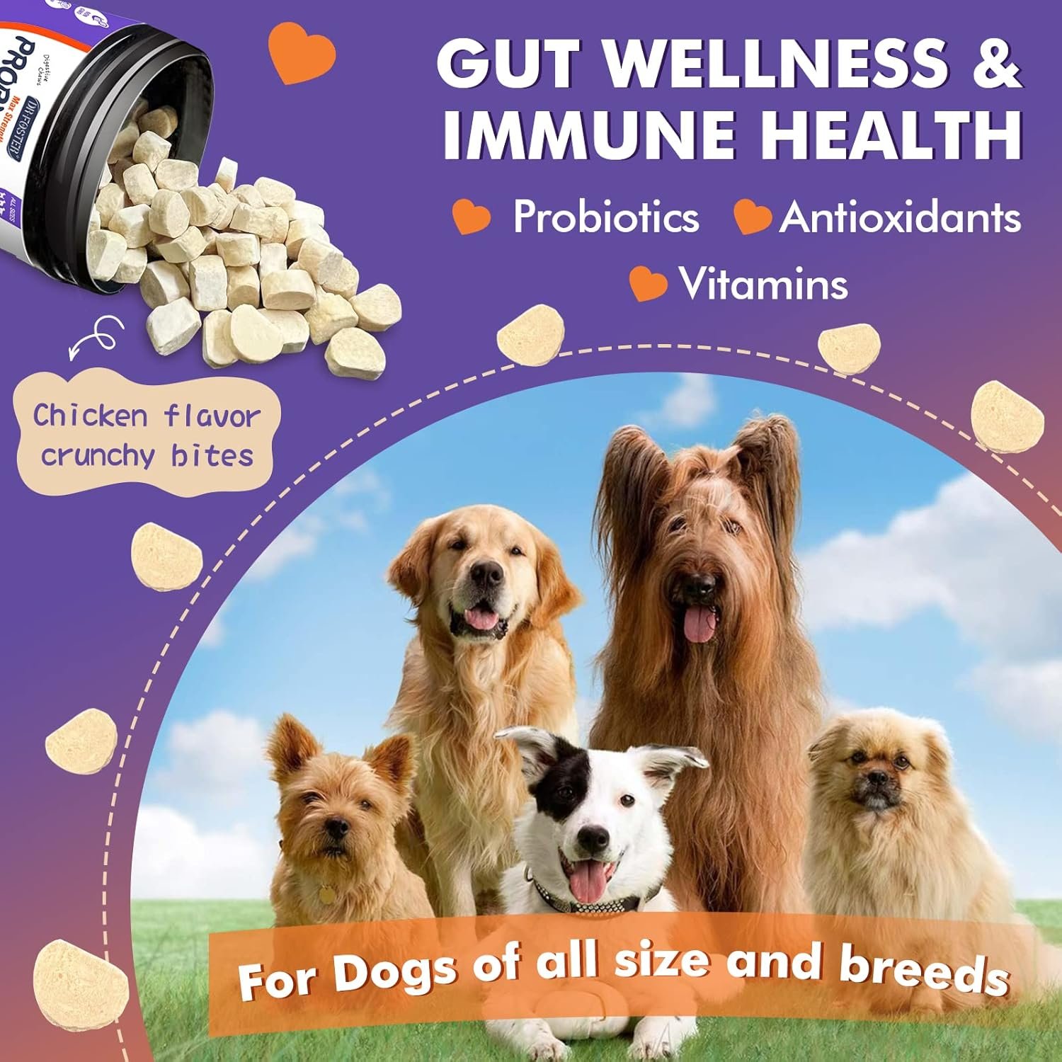 Probiotics for Dogs, Freeze-Dried Dog Probiotics and Digestive Enzymes, Plus Omega-3 for Itchy Skin, 3-in-1 Prebiotics for Digestive Health, Dog Vitamins and Supplements for Immune Health, 120 Bites - Image 5