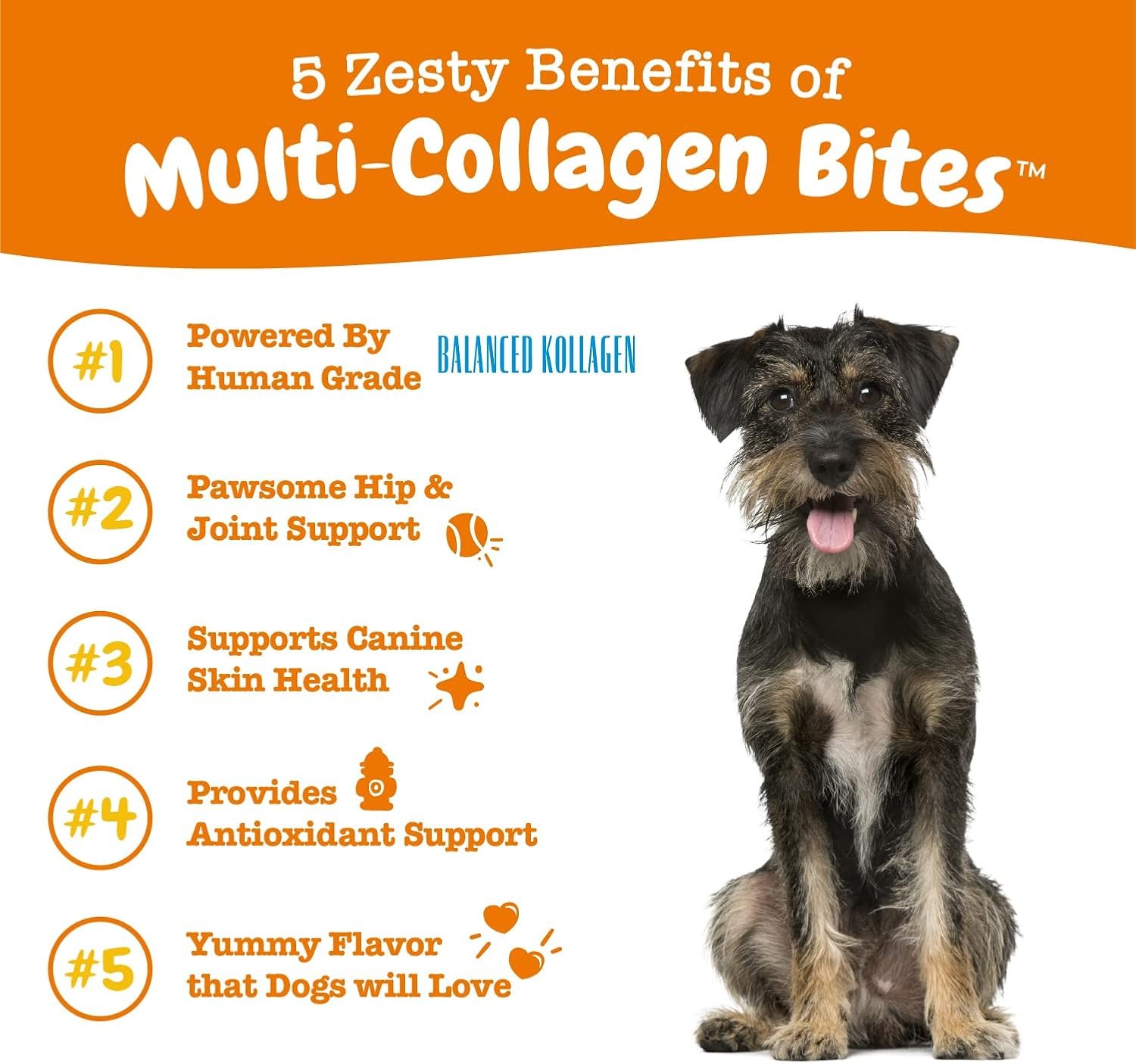 Zesty Paws Multi Collagen Soft Chews for Dogs - for Hip, Joint & Cartilage Support + Skin Health - with Collagen - Plus Eggshell Membrane, Vitamin C & Hyaluronic Acid - 90 Count - Image 3