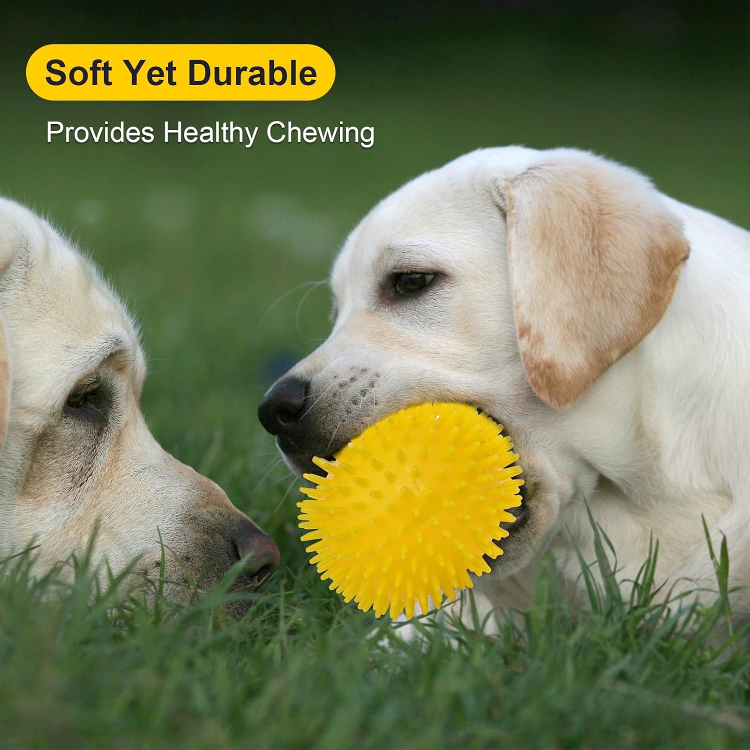VITEVER 3 Colors 4.5” Heavy Duty Squeaky Dog Toy Balls for Medium Large Dogs, Dog Chew Toys for Teething, Spiky Dog Balls for Aggressive Chewers, Durable Dog Toys for Teeth Cleaning and Training - Image 7