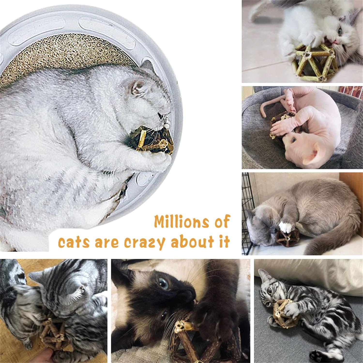 Catnip Toys-2Pcs Natural Silvervine Stick Catnip Ball&Bell Ball-Cat Toys for Indoor Cats- Cleaning Teeth Molar Tools Matatabi Cat Chew Toy-Kitten Toys All Breeds - Image 7