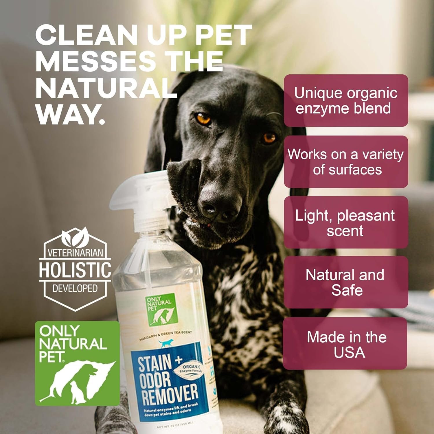 Only Natural Pet Enzyme Powered Stain & Odor Eliminator - Professional Pet Urine Pee Cleaner Deodorizer For Dogs - Hardwood Floors Carpets Upholstery - Fresh Mandarin Orange & Green Tea Scent - 32Floz - Image 6