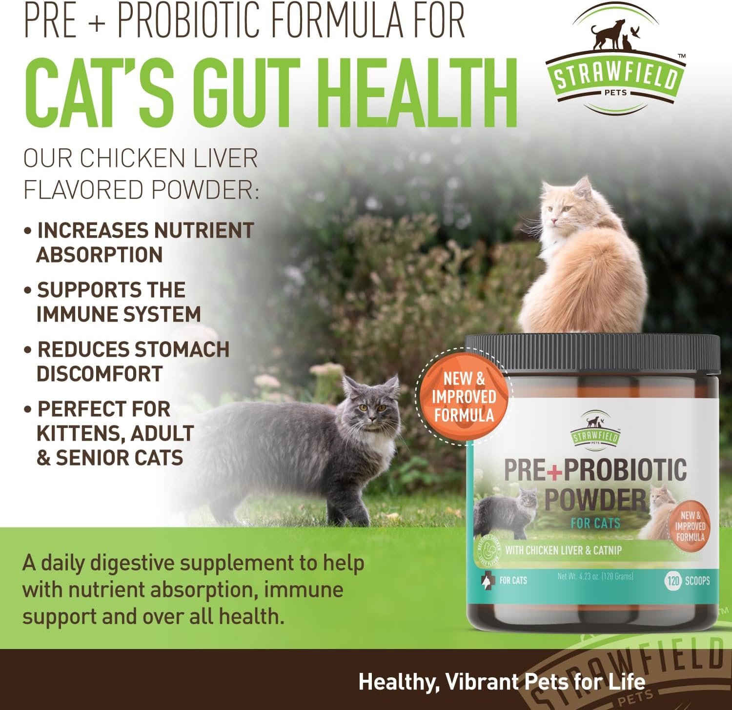 Strawfield Pets' Pre + Probiotic Powder for Cats with Catnip Probiotic for Cats Diarrhea Relief Supplement Natural Chicken Liver Flavor 120 Grams / 120 Scoops - Image 8