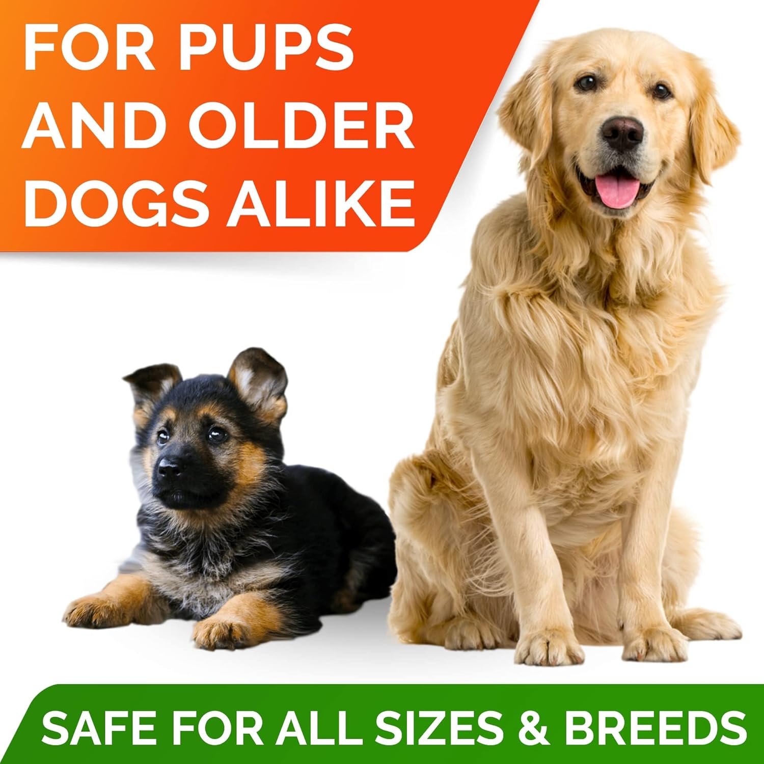 StrellaLab Omega 3 for Dogs - (180Ct) Fish Oil Treats - Allergy & Itch Relief Skin&Coat Supplement - Dry Itchy Skin, Shedding, Hot Spots Treatment, Anti Itch - Pet Salmon Oil Chews - Chicken Flavor - Image 8